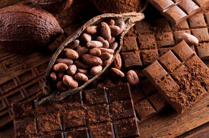 Give in to temptation at the Salon du Chocolat!