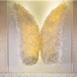 Butterfly wings - Vice Versa Hotel Paris  - Photos